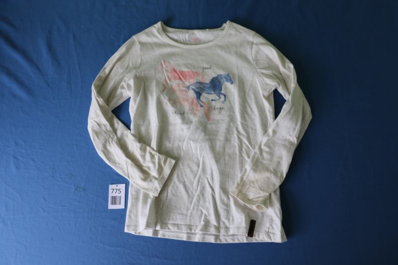 Langarm-Shirt mit Pferdemotiv