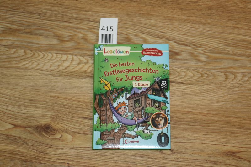 Kinderbuch: Leselöwen - Die besten Erstlesegeschichten für Jungs