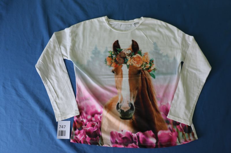 Langarm-Shirt mit Pferdemotiv