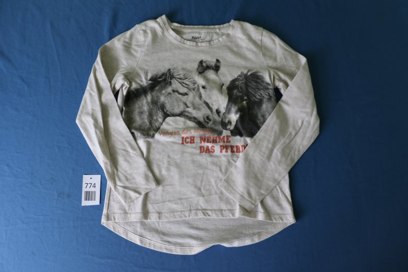 Langarm-Shirt mit Pferdemotiv
